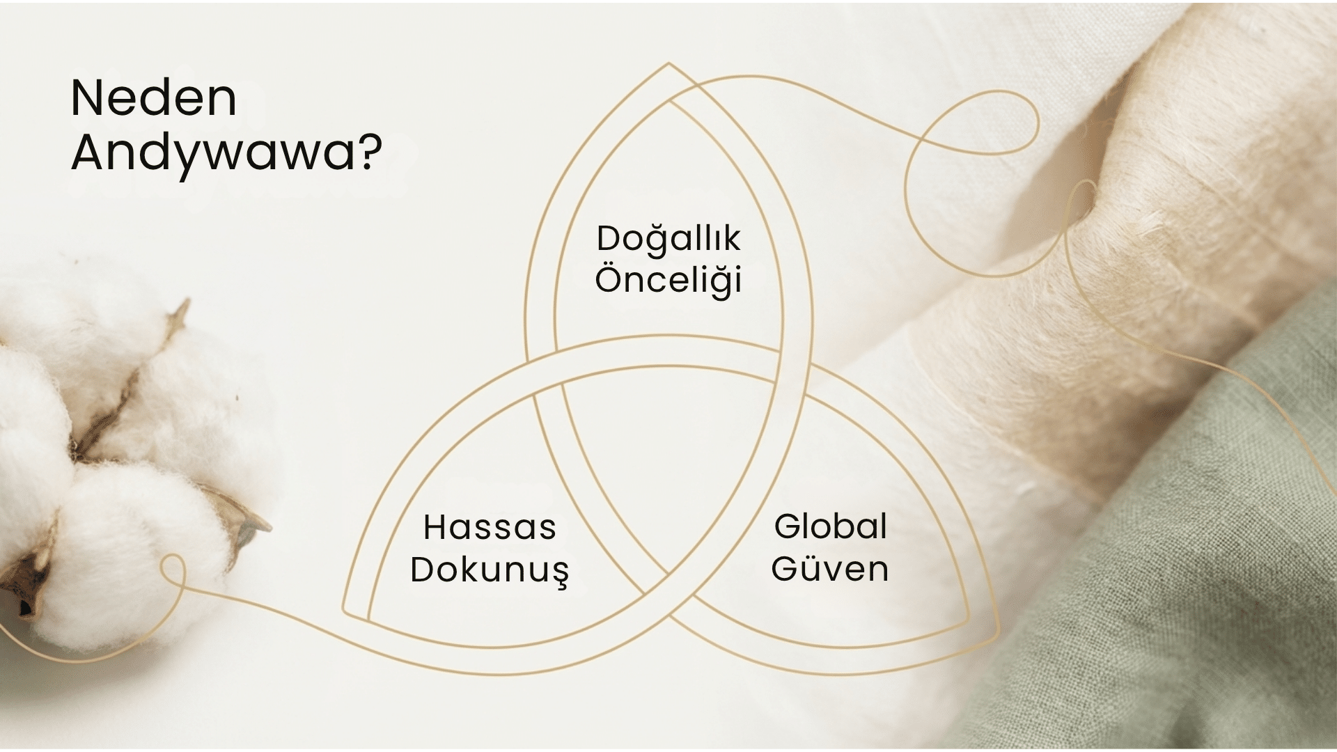 neden andywawa